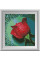 30288 Роса на червоній троянді. Dream Art. Набір алмазної мозаїки (квадратні, повна)