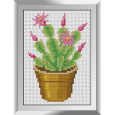 31656M Цвітіння кактуса. Dream Art. Набір алмазної мозаїки (квадратні, повна)