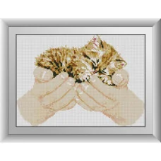 30004 Кошеня в руках. Dream Art. Набір алмазної мозаїки (квадратні, повна)