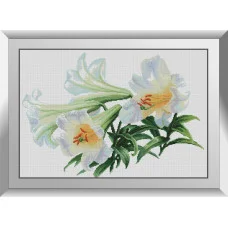 31537 Цвітіння лілій. Dream Art. Набір алмазної мозаїки (квадратні, повна)